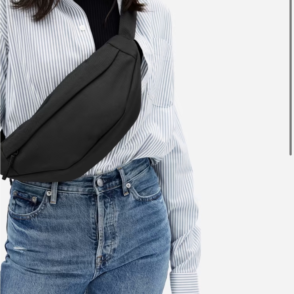 Everlane Transit Fannypack Belt Bag
